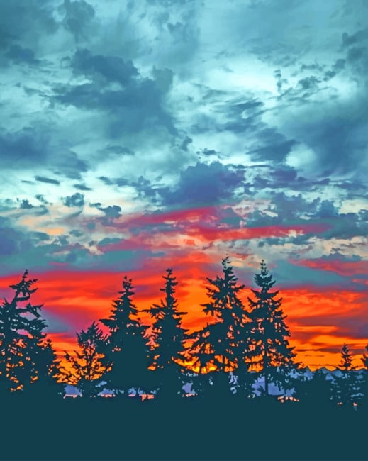 American Larches Silhouette paint by numbers