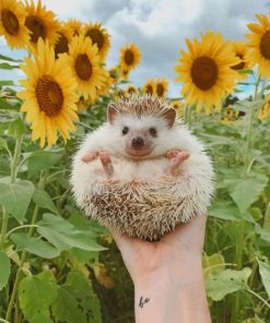 Cute Hedgehog Baby painting by numbers