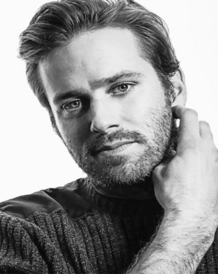 Armie Hammer paint by numbers