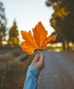 Autumn Colored Leaf paint by numbers