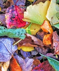 Colorful Autumn Leaves paint by numbers