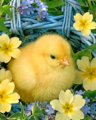 Baby Chick In Spring painting by numbers