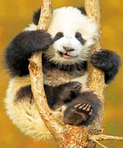 Baby Panda On Tree painting by numbers