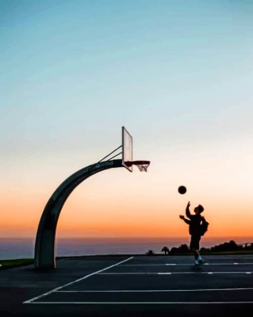 Basket Ball Silhouette paint by numbers