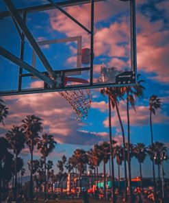 Basket Ball Court And Palm Trees paint by numbers