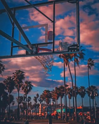Basket Ball Court And Palm Trees paint by numbers