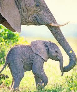 Beautiful Elephant With Baby painting by numbers