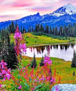 Mount Rainier National Park painting by numbers