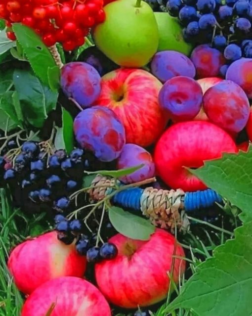 Beautiful Pictures Of Fruits And Vegetables paint by numbers