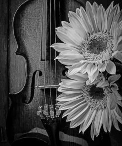 Beautiful Violin And Sun Flowers painting by numbers