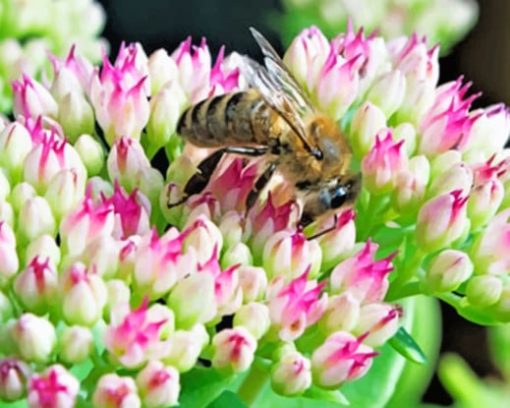 Bee On A Flower paint by numbers