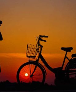 Bicycle And Girl Silhouette paint by numbers