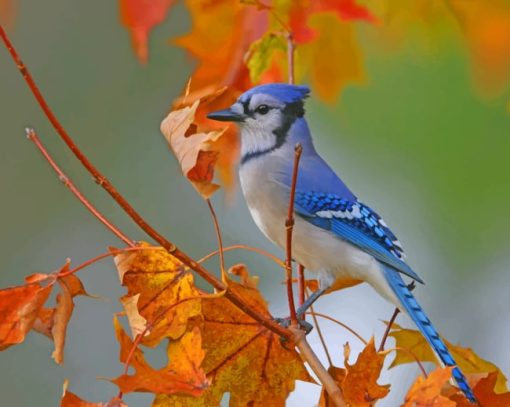 Blue Bird On A Tree paint by numbers