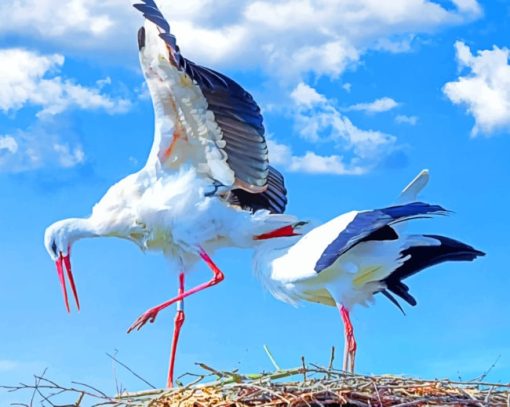 White Storks In The Nest paint by numbers