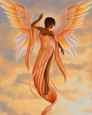 Black Angel paint by numbers