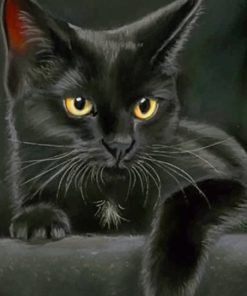 Black Cat With Black Background painting by numbers