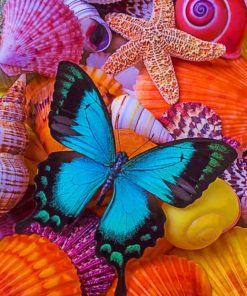 Blue Butterfly Among Sea Shells painting by numbers