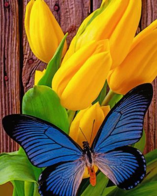 Blue Butterfly On Yellow Tuplis painting by numbers