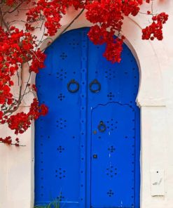 Blue Doorway painting by numbers