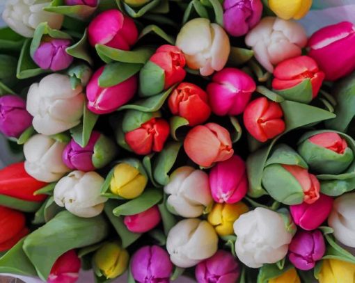 Flowers Bouquet painting by numbers