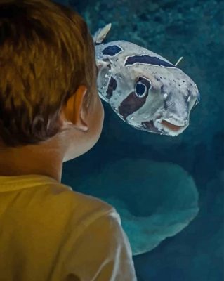 Little Kid Looking To The Fish painting by numbers