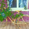 Brown Bike With Flowers painting by numbers