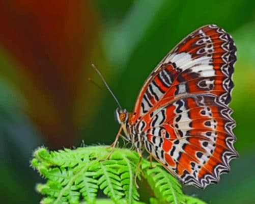 Butterfly On A Leaf paint by numbers