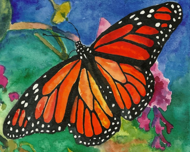 Bright Orange Butterfly paint by numbers