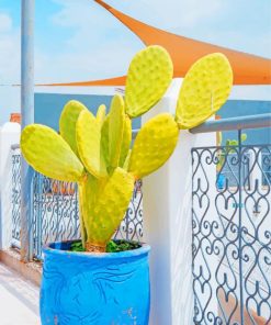 Cactus In A Blue Vase paint by numbers