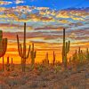 Cactus In The Cloudy Desert paint by numbers