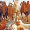 Brown Camels And Goats paint by numbers