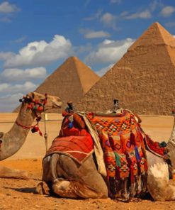 Camels And Pyramids paint by numbers