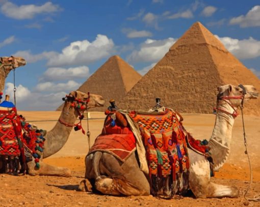 Camels And Pyramids paint by numbers