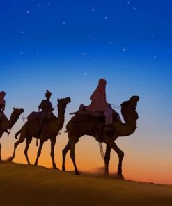 Silhouette Of Desert Camels paint by numbers