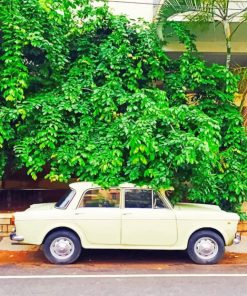 White Car Under A Tree paint by numbers