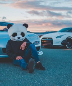 Panda Mask And Two Cars paint by numbers