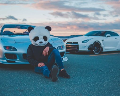 Panda Mask And Two Cars paint by numbers