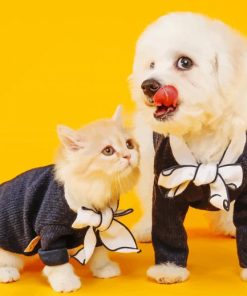 Cat And Dog Wearing Same Clothes painting by numbers