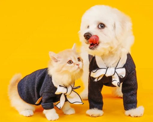 Cat And Dog Wearing Same Clothes painting by numbers