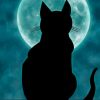 Cat On The Moonlight painting by numbers