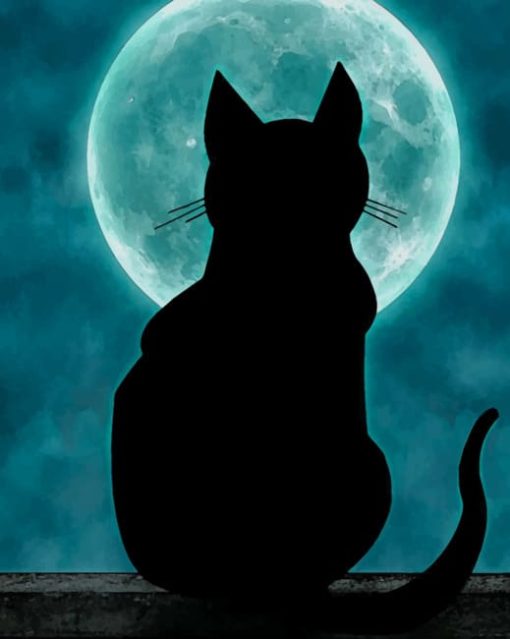 Cat On The Moonlight painting by numbers