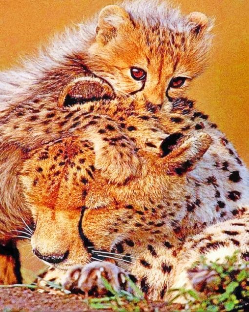 Cheetah Cub With Mum painting by numbers