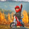 Child Driving A Bike paint by numbers