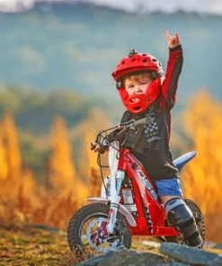 Child Driving A Bike paint by numbers