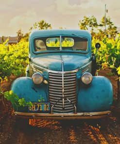 Classic Blue Vehicle Between Vineyard painting by numbers