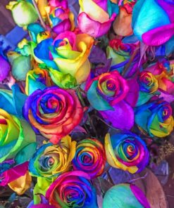 Close Up Of Multicolored Petaled Roses painting by numbers