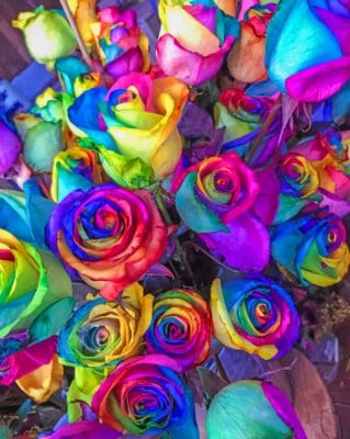 Close Up Of Multicolored Petaled Roses painting by numbers