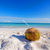 Coconut Drink On Beach painting by numbers