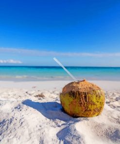 Coconut Drink On Beach painting by numbers