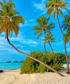 Coconut Tree On Beach Shore painting by numbers